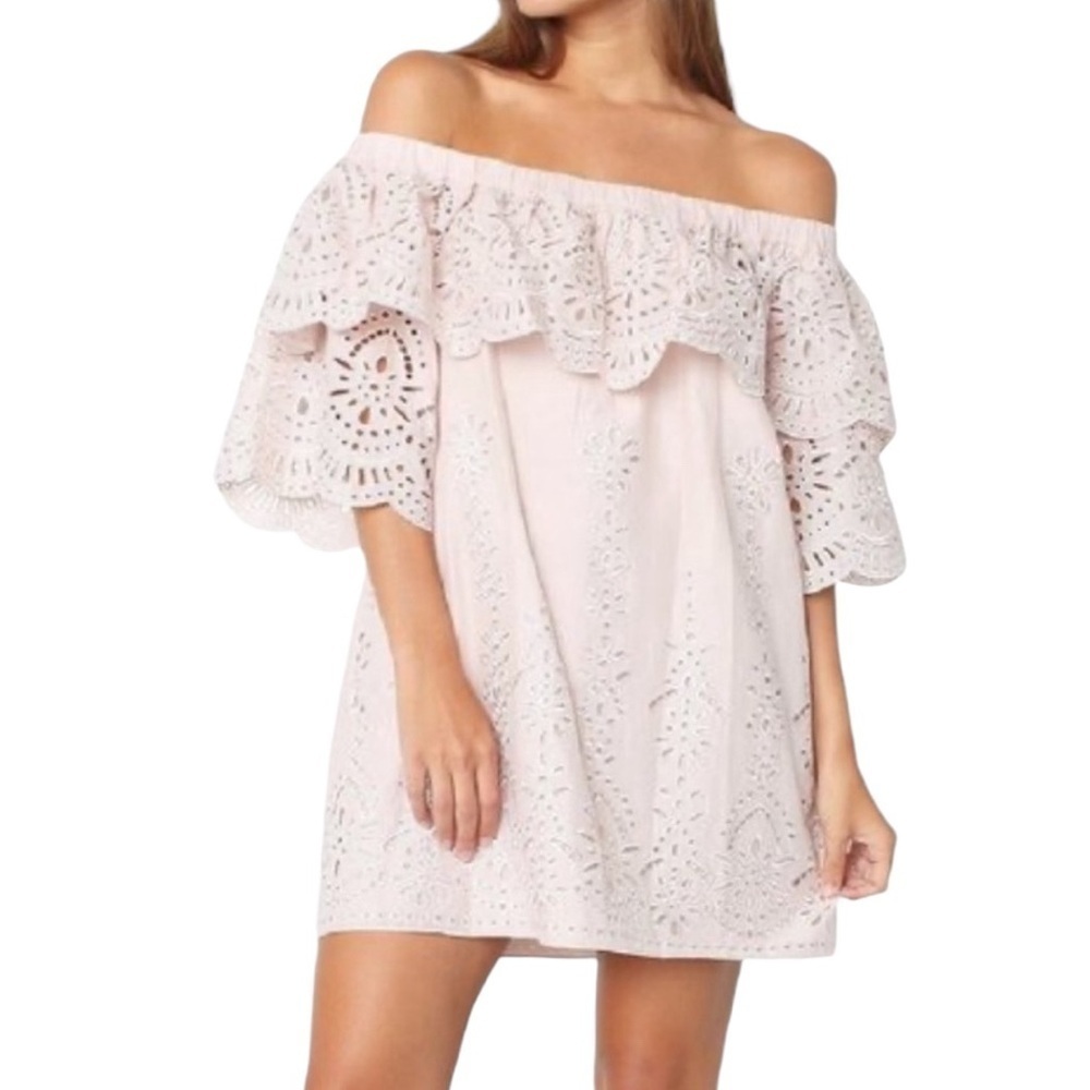 Parker Cathy Eyelet Mini Dress
